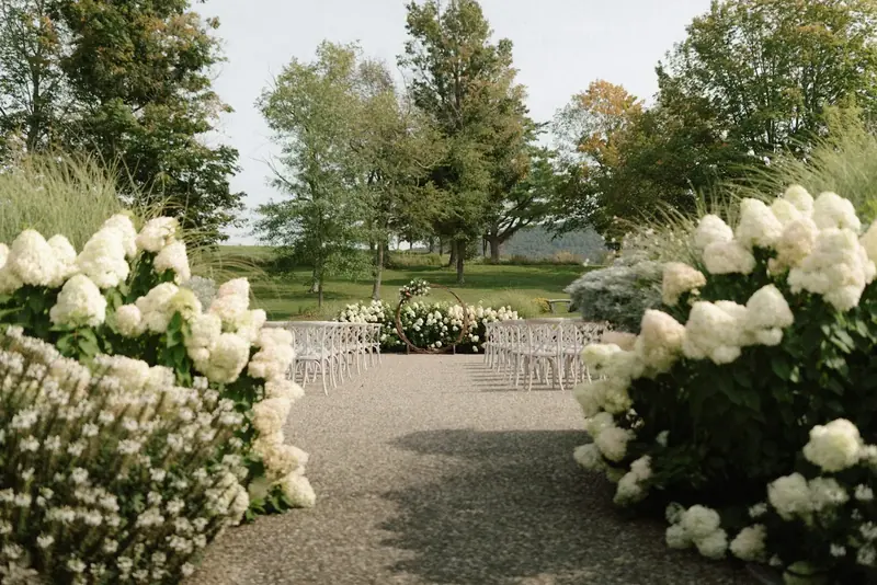 Gravel aisle between white hydrangeas, leading to rows of chairs