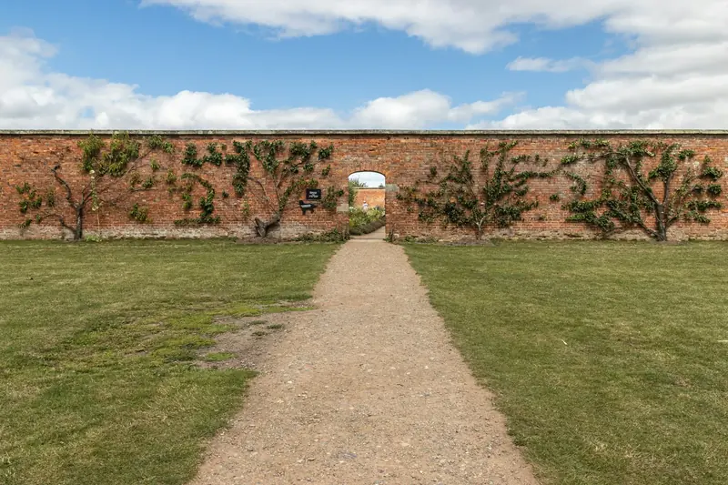 Lawn and gravel path inside the walled garden, with fruit trees trained against the brick
